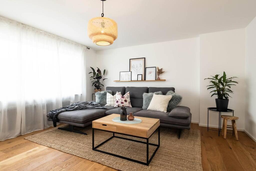 Luxury Apartment On The Rhein Busingen am Hochrhein Exterior foto