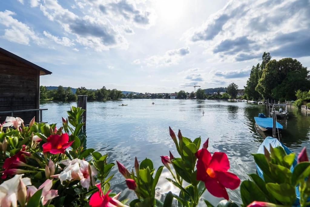 Luxury Apartment On The Rhein Busingen am Hochrhein Exterior foto