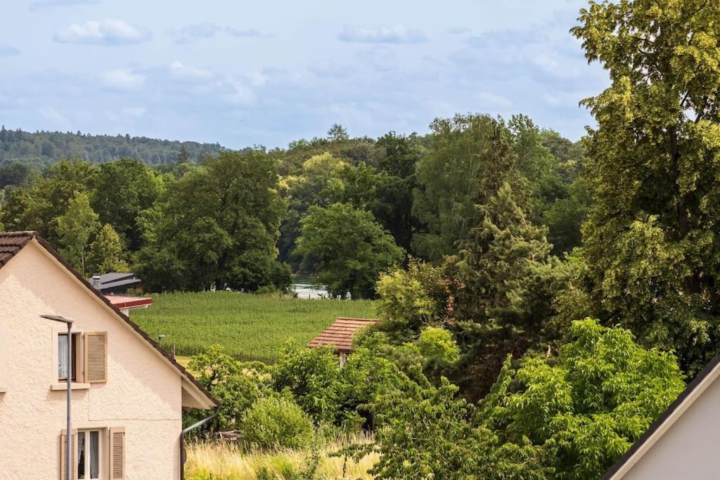 Luxury Apartment On The Rhein Busingen am Hochrhein Exterior foto